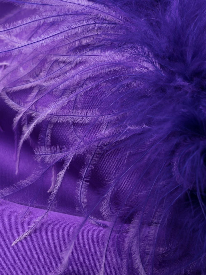 Parosh feather-trim mini Dress