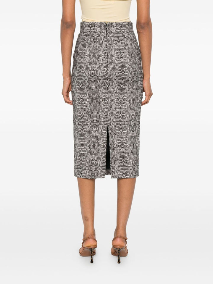 Elisabetta Franchi Skirt