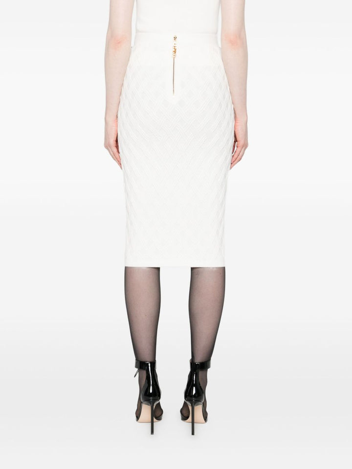 Elisabetta Franchi Skirt