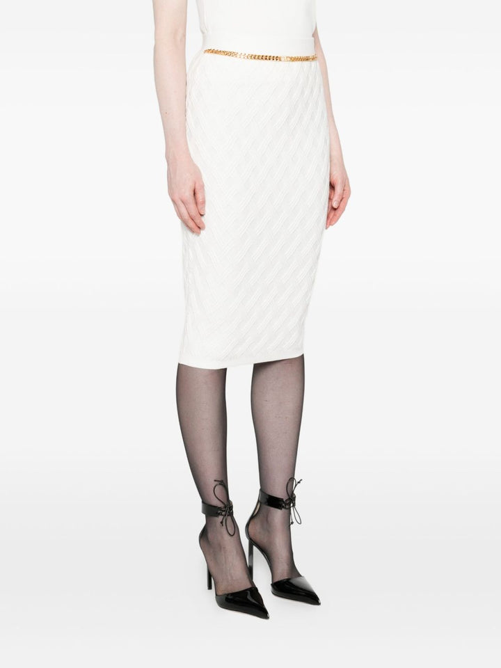 Elisabetta Franchi Skirt