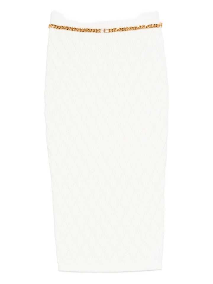 Elisabetta Franchi Skirt
