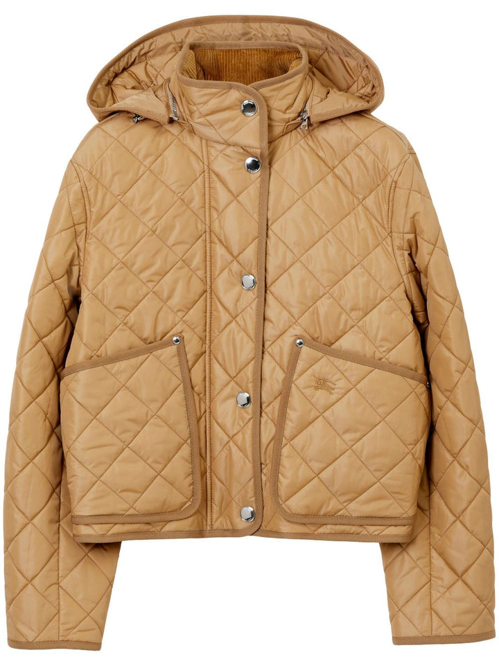 Burberry Jacket