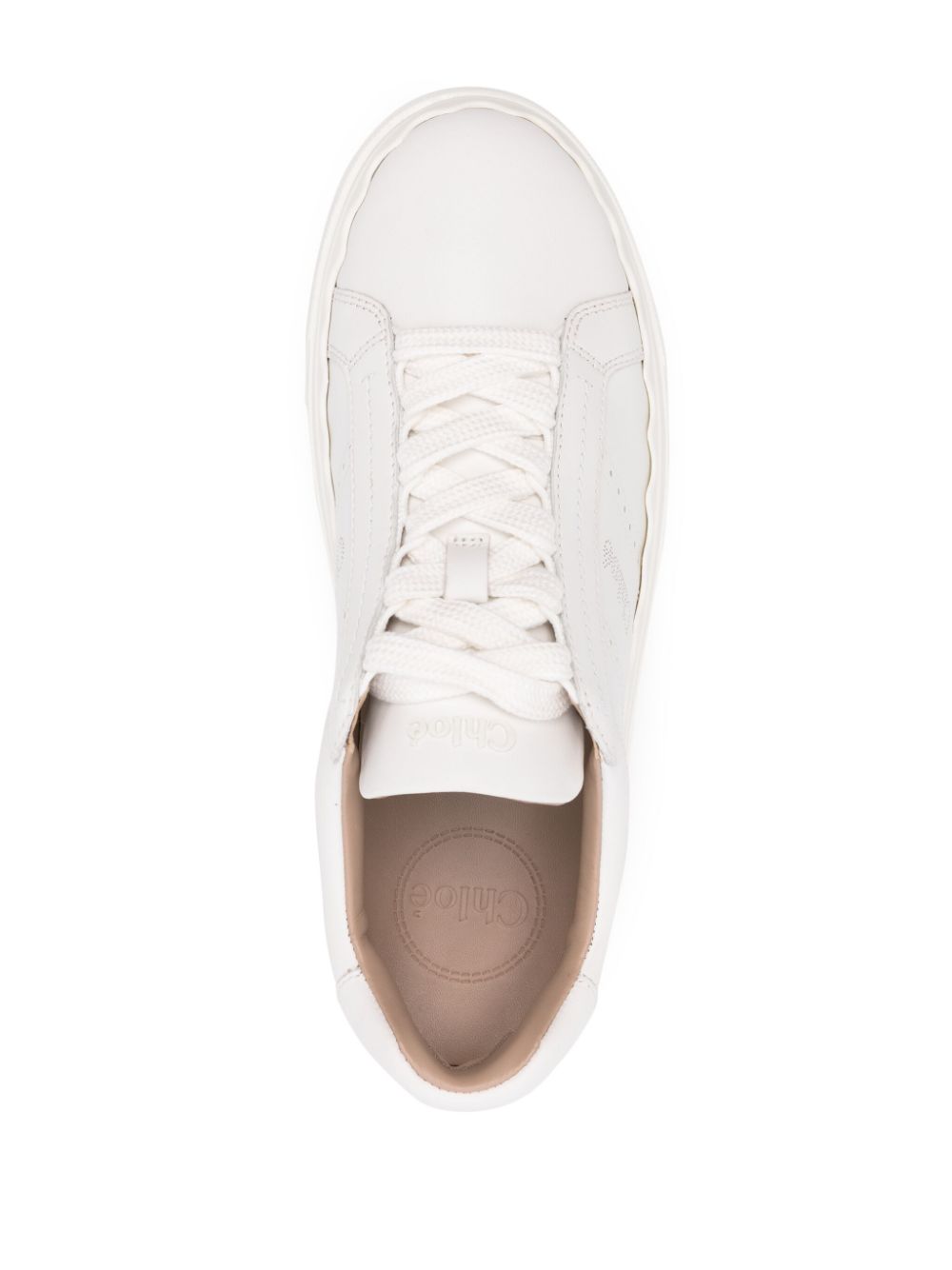 Chloè Sneakers