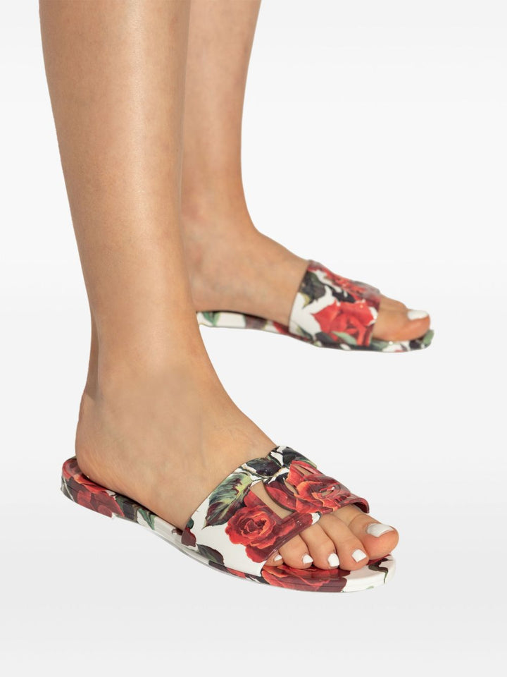 Dolce & Gabbana Floral Slides