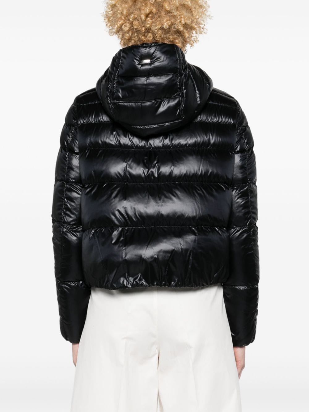 Herno Jacket