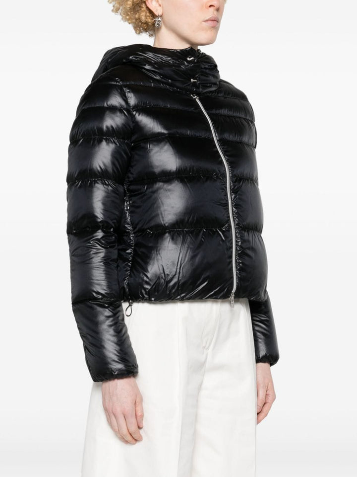 Herno Jacket