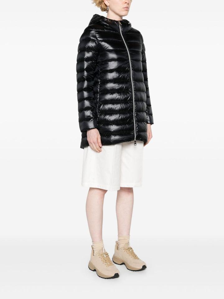 Herno Jacket
