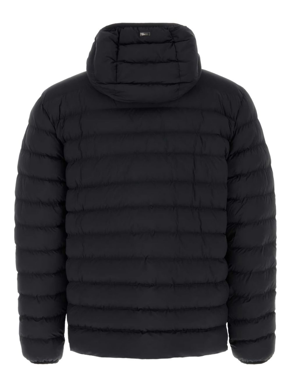 Herno jacket
