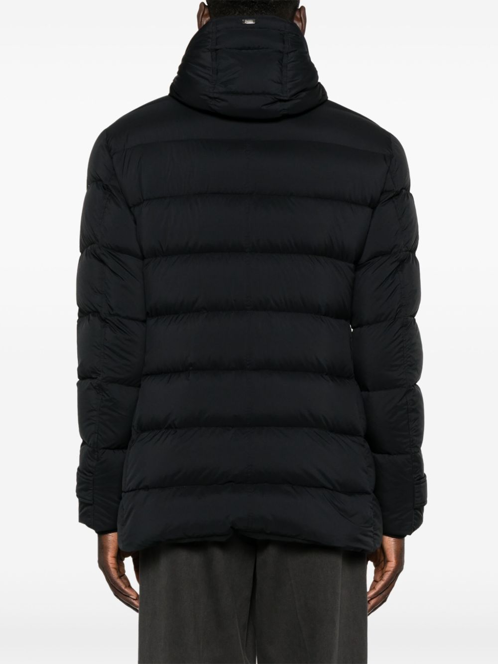 Herno jacket