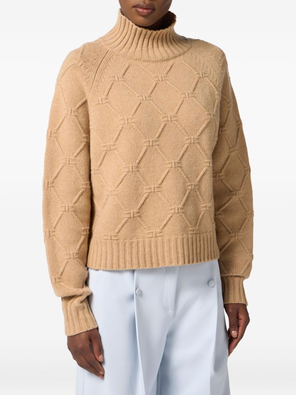 Elisabetta Franchi Sweater