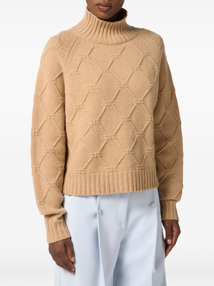 Elisabetta Franchi Sweater