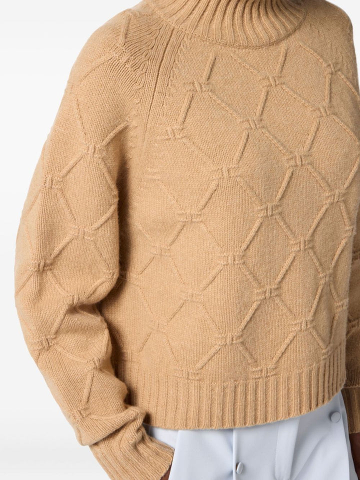 Elisabetta Franchi Sweater