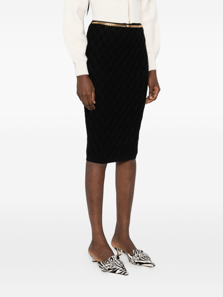 Elisabetta Franchi Skirt