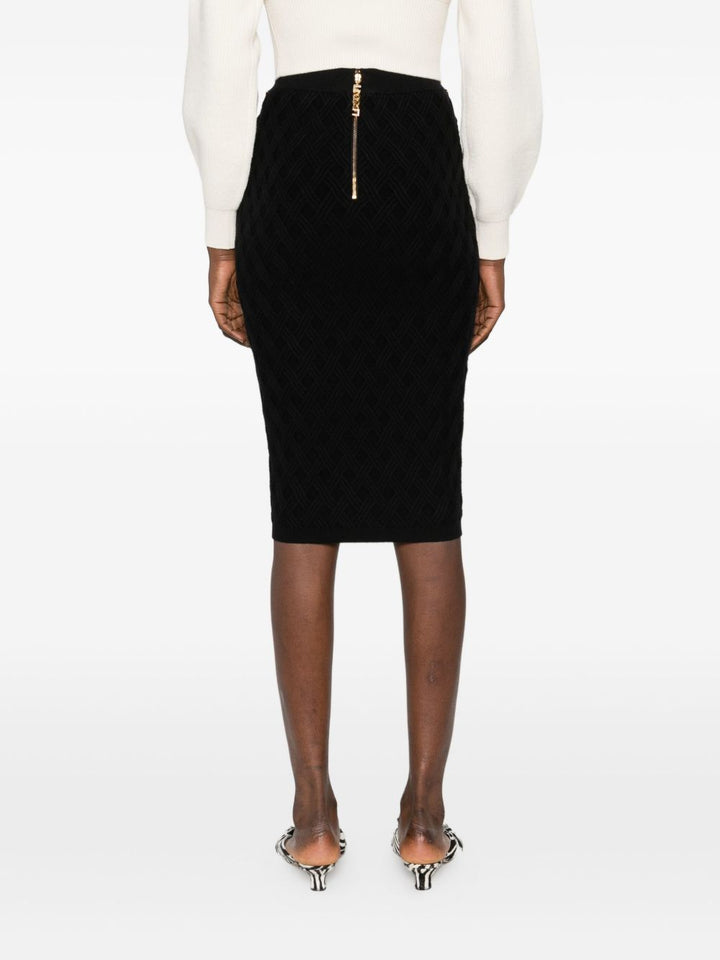 Elisabetta Franchi Skirt
