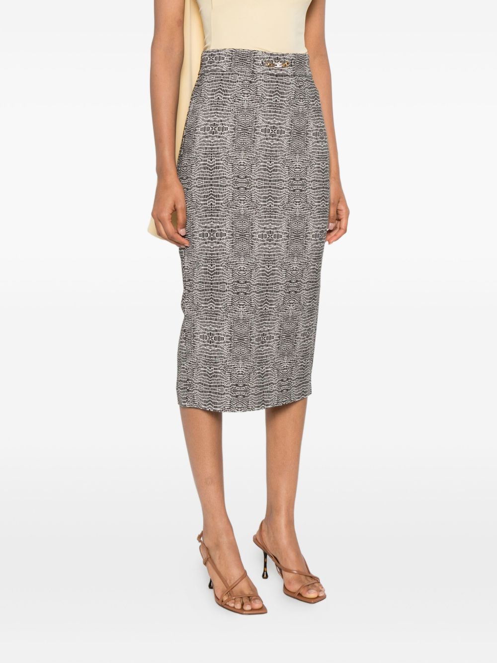 Elisabetta Franchi Skirt
