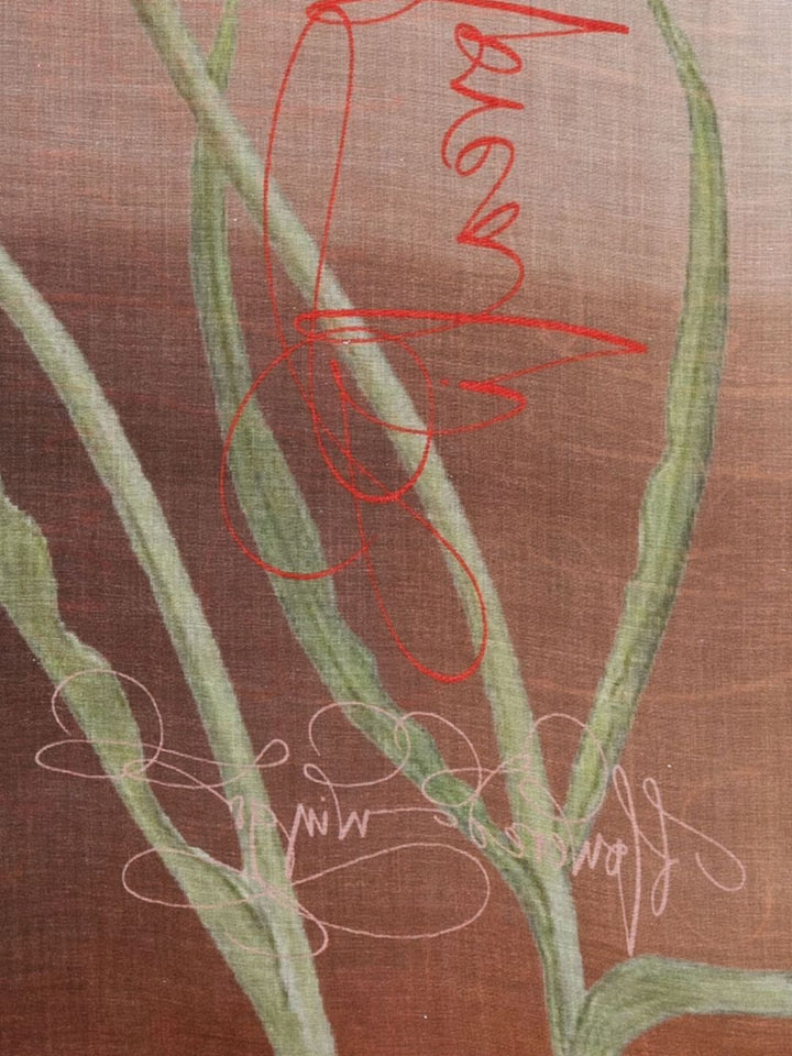 Faliero Sarti Scarf