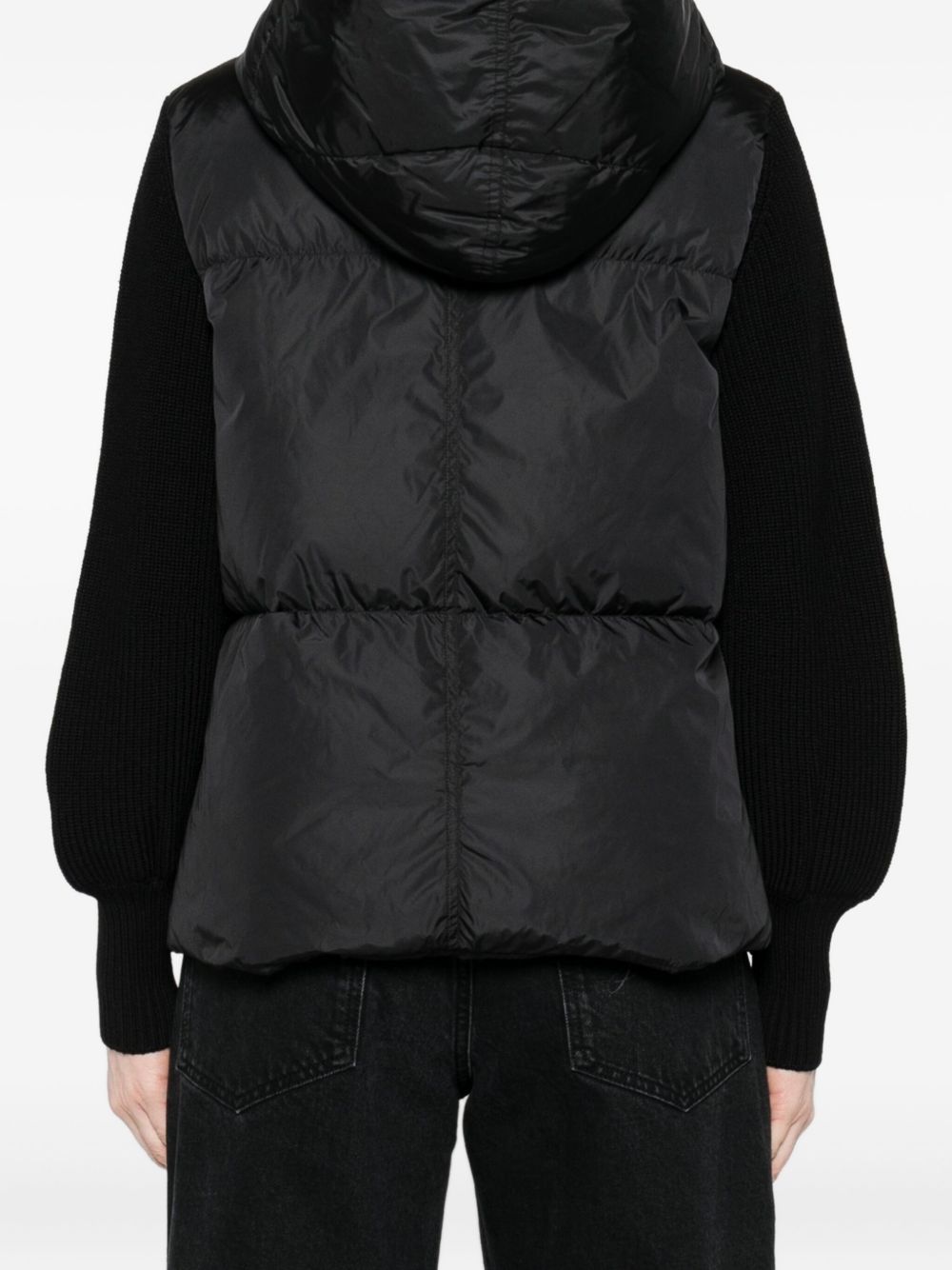 Canada Goose Coat