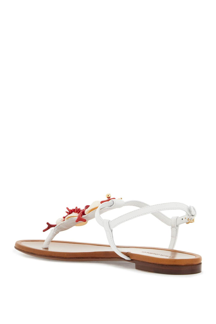 Dolce & Gabbana Nappa Flip Flops With Coral   White