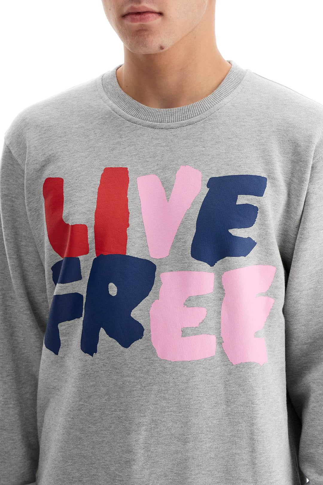 Comme Des Garcons Shirt live free hooded sweater