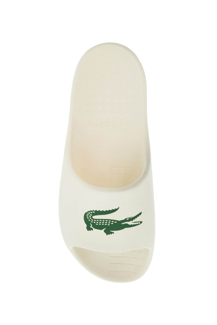 z Lacoste slides