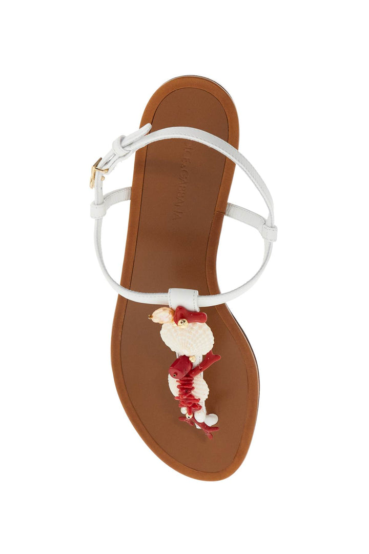 Dolce & Gabbana Nappa Flip Flops With Coral   White