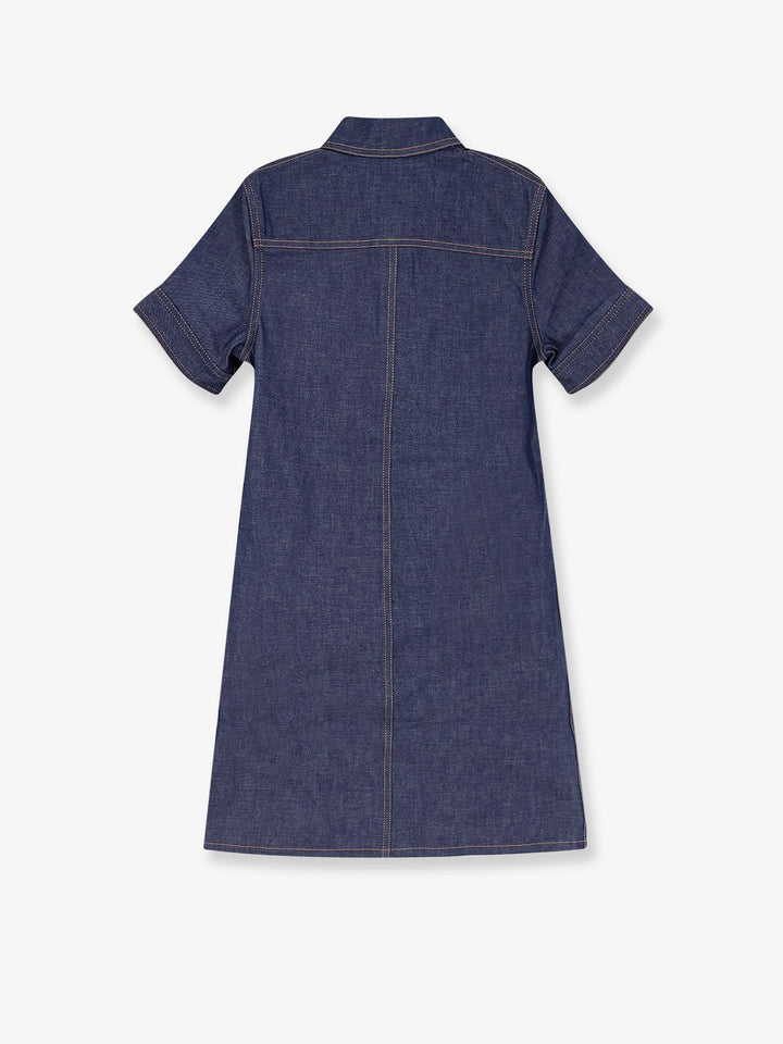 Denim mini chemisier dress