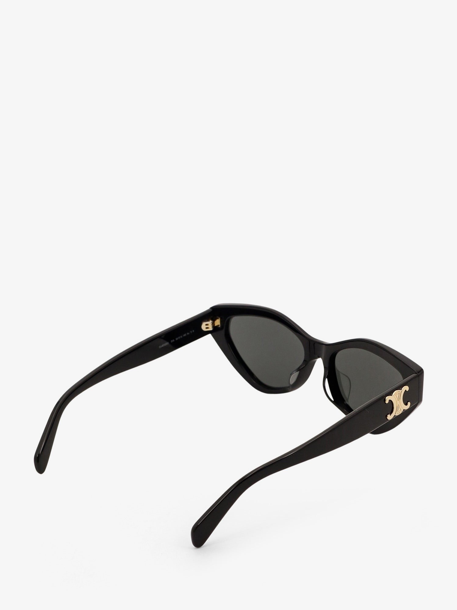 サングラス Celine Triomphe 17 Acetate Sunglasses Triomphe 17 acetate sunglasses – Choosh